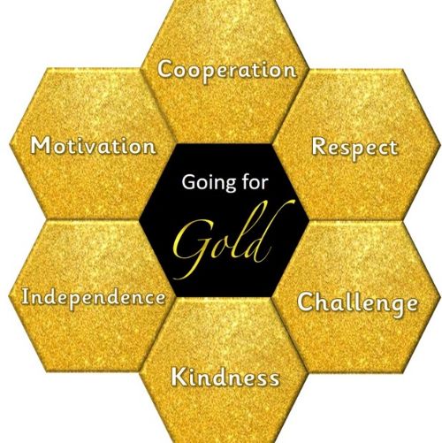 Our Going for Gold School Values